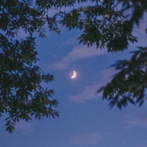 成人动漫3D骚麦艳曲国配剧情
