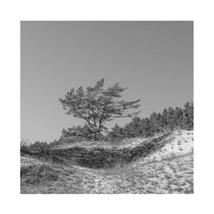 成人动漫3D骚麦艳曲国配剧情
